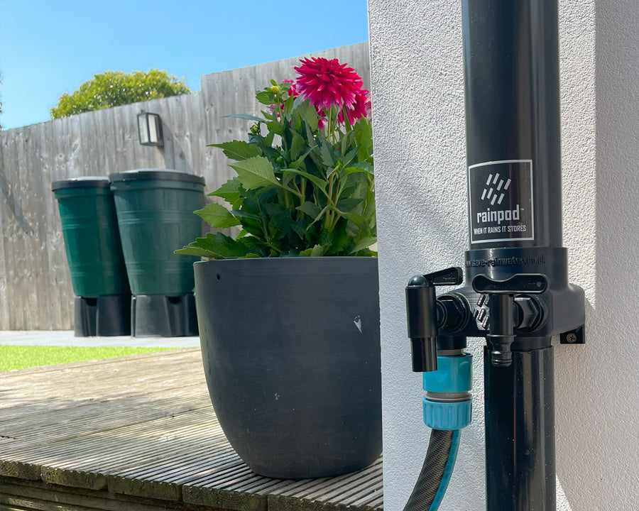 Revolutionise Your Garden with Rainwater Harvesting: Smart Solutions from RAINPOD