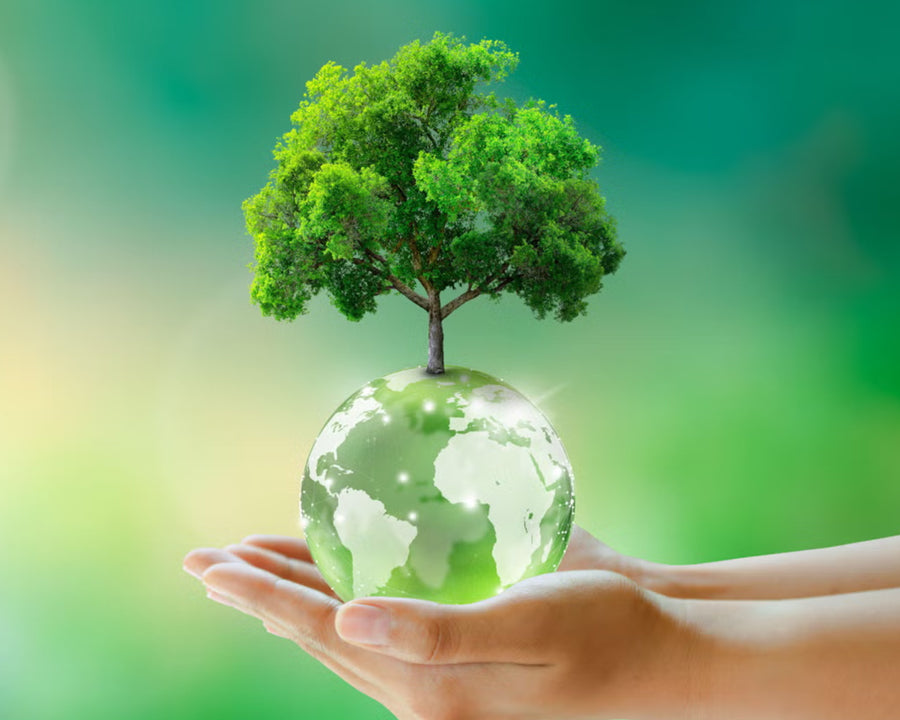 Get Started with Rainwater Harvesting: Easy Steps to a Greener Home with RAINPOD